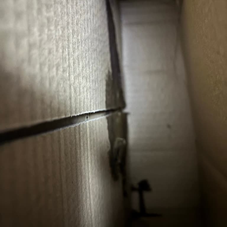 Hgv Oto Market Kötü Paketleme