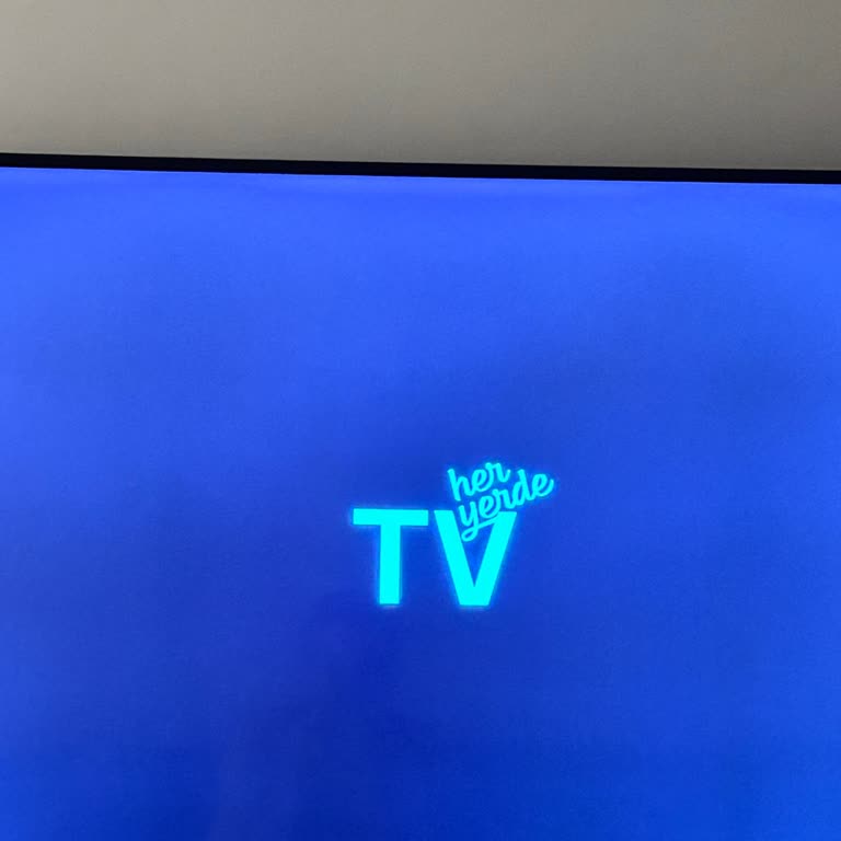 Sürekli Yaşanan Teknik Sorunlar Ve İlgisiz Müşteri Hizmeti Nedeniyle Hayal Kırıklığı