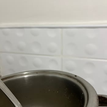 Aldığım Noodle İçinden Böcek Çıktı