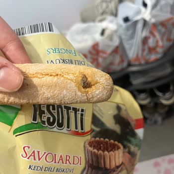 Aldığım Kedi Dili Bisküvisinden Böcek Çıktı, Tüm Tatlım Çöpe Gitti!