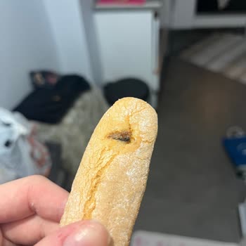 Aldığım Kedi Dili Bisküvisinden Böcek Çıktı, Tüm Tatlım Çöpe Gitti!