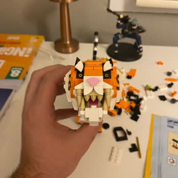 Lego Setinde Eksik Parça Ve Hayal Kırıklığı
