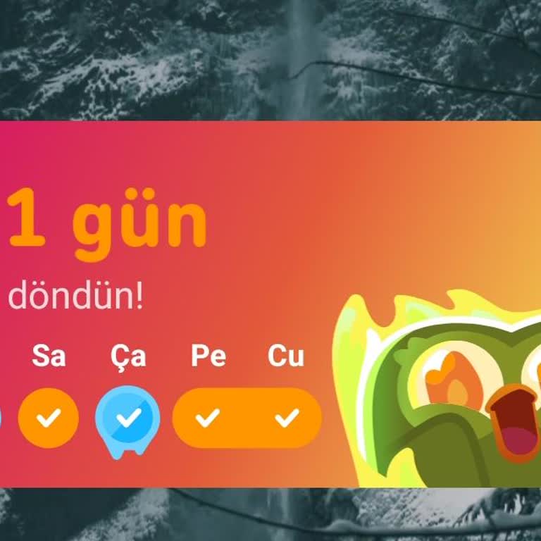 Duolingo'da Serim Aniden Sıfırlandı, Destek Bulamıyorum