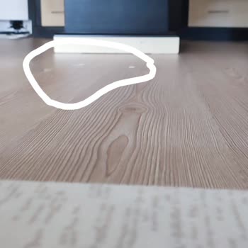 Yeni Alınan Robot Süpürgede İlk Günden Süregelen Paspas Sorunu Ve İade Talebi