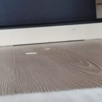 Yeni Alınan Robot Süpürgede İlk Günden Süregelen Paspas Sorunu Ve İade Talebi