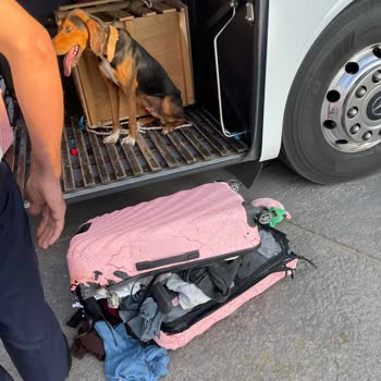 Kamil Koç Seyahatinde Bagajda Köpek Nedeniyle Valizlerim Zarar Gördü, Mağduriyetim Giderilmedi