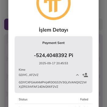 Pi Network Pi Coin Transferinde Anlık Hata İle Tüm Bakiyem Sıfırlandı