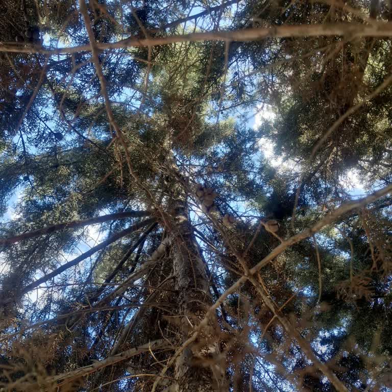 İtfaiyenin Duyarsızlığı Yüzünden Yavru Kedi Hayatını Kaybetti