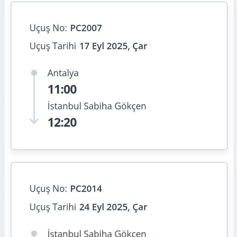 Check-in Sorunu Nedeniyle Uçağa Alınmadım, Ek Ücret Ödedim