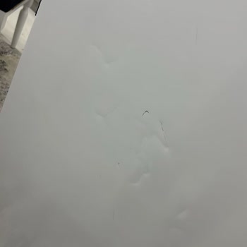 Teslimatta Çizikli Gelen Bosch Ürünler Ve Garanti Kapsamında Yüksek Onarım Ücreti Talebi