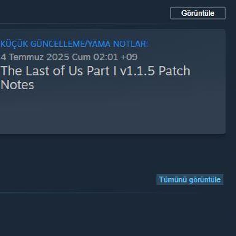 Steam Satın Alınan Oyunda Türkçe Dil Desteği Sunulmaması Ve İade Sorunu!