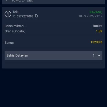 Efesbetcasino Bonus Kullanılmadığı Halde Yüksek Çevrim Şartı İle Para Çekme Engeli