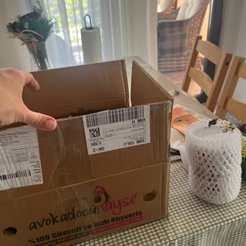 Ezilmiş Ve Olgunlaşmış Ürünler İçin Yanıtsız Kalan Müşteri Desteği