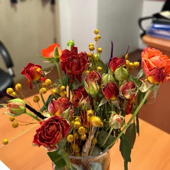 Sipariş Edilen Çiçek Görselden Farklı Ve Solmuş Geldi, Şikayetim Çözülmedi