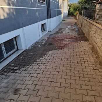 Şok Market’in Atık Suları Bahçemize Boşaltılıyor, Sağlığımız Tehlikede!