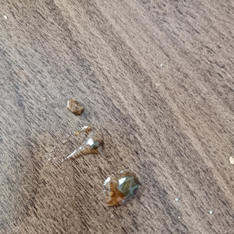 Kuru İncir Reçelinden Taş Çıkması Mağduriyet Yarattı