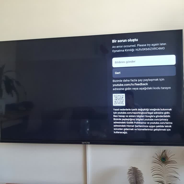 Onvo 55 İnç TV'de Video Oynatma Sorunu Ve Destek Eksikliği