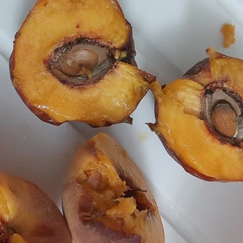 Gimsa Eryaman AVM'den Aldığım Bozuk Ve Kalitesiz Ürünler Hayal Kırıklığı Yarattı