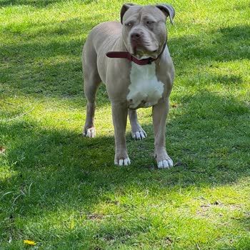 Badoo Blocked My Account Without Any Reason and Gave No Explanation