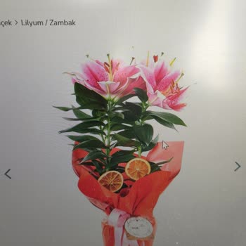 Onayım Olmadan Tomurcuk Lilyum Teslim Edildi, İade Ve Değişim Sağlanmadı