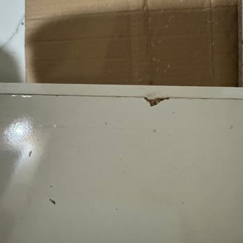 Hasarlı Ürün Ve Sorunlu İade Süreci