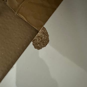 Hasarlı Ürün Ve Sorunlu İade Süreci