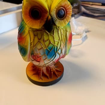 Öztürk İstanbul Mağduriyeti