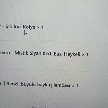 Öztürk İstanbul Mağduriyeti