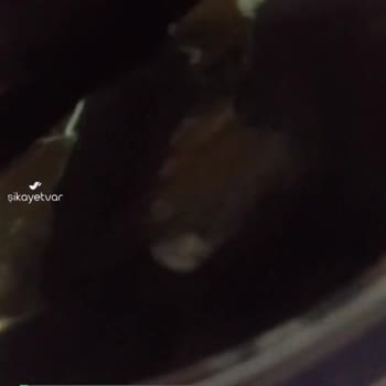 Vatan Yaprak Sarma Konservesi Küflü
