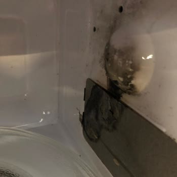 Garanti Kapsamındaki Mikrodalga Fırınım Çalışmıyor, Ücret Talep Ediliyor