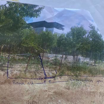 Depremzedeye Haksız Ve Ayrımcı Ceza: Ulukışla Belediyesi'nden Eşitsiz Uygulama