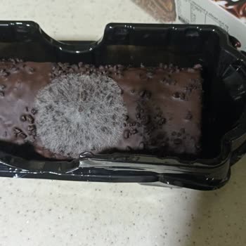 A101 Son Kullanma Tarihi Geçmemiş Üründe Küf Şoku: Sağlığımız Tehlikede!