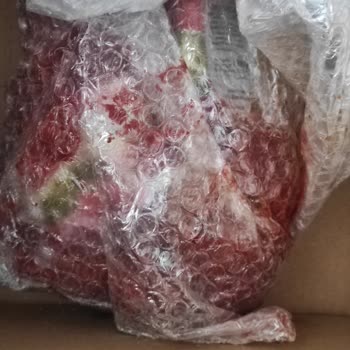 Kırık Ürün, İlgisiz Paketleme Ve Yetersiz Çözüm: Amazon Hayal Kırıklığı