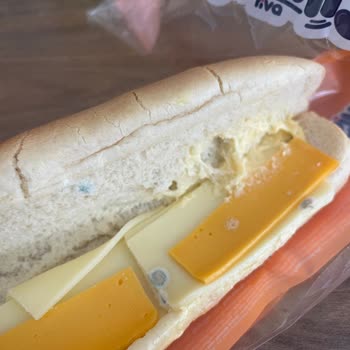 Son Kullanma Tarihi Geçmemiş Sandviçin Küflü Çıkması Güvenimi Sarstı