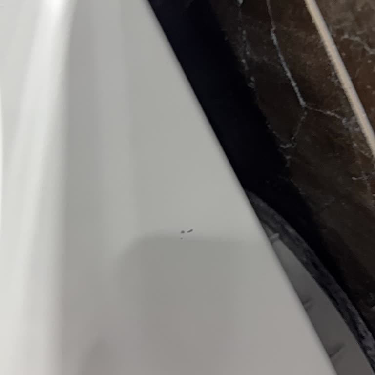 Profilo Kurutma Makinesi Bakımında Yetersiz Temizlik Ve Servis Hasarı