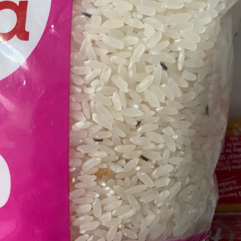 Açılmamış Yayla Baldo Pirinç Paketinde Böcek Çıkması Nedeniyle Mağduriyet