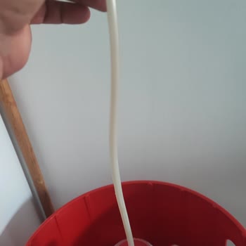 Cam Damacanada Hızlı Yosunlanma Ve Depozito İadesinde İlgisizlik