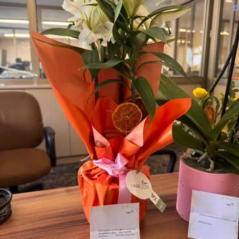 Yanlış Ve Kalitesiz Çiçek Teslimatı, İlgisiz Müşteri Hizmeti