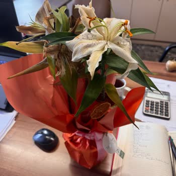 Yanlış Ve Kalitesiz Çiçek Teslimatı, İlgisiz Müşteri Hizmeti