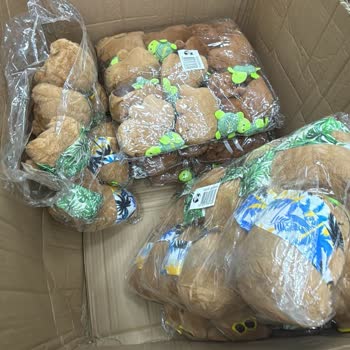 Yanlış Ürün Gönderimi Ve İlgisiz Satış Sonrası Destek