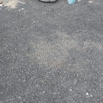 Gardırop Cam Kapakları Kırıldı, 4 Aydır Çözüm Sunulmuyor