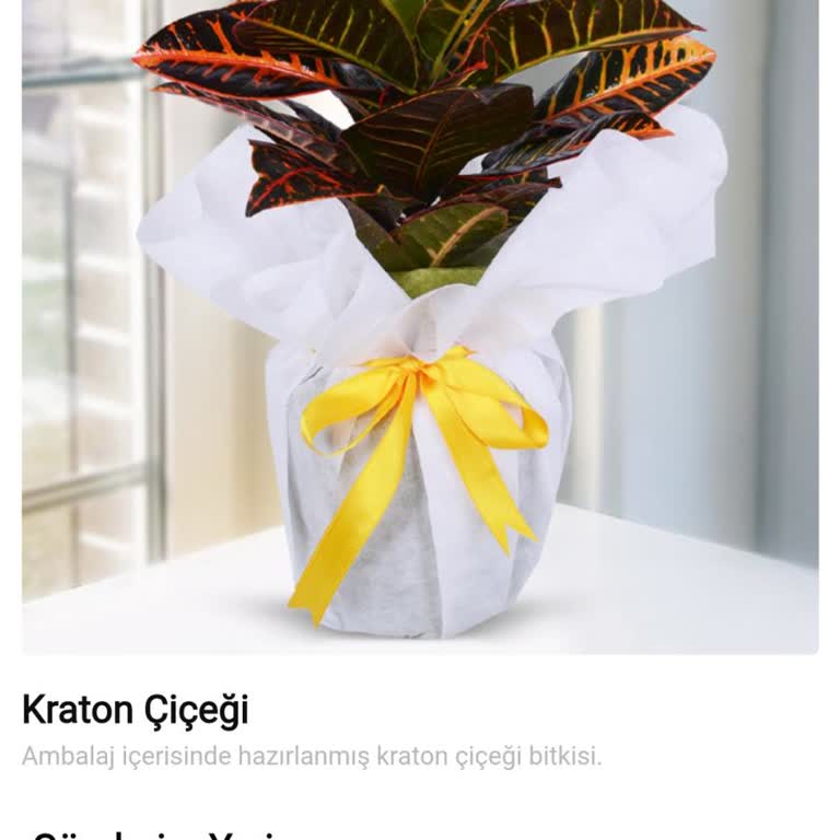 Eksiksiz Bilgiye Rağmen Teslim Edilmeyen Sipariş Ve İlgisiz Müşteri Hizmetleri