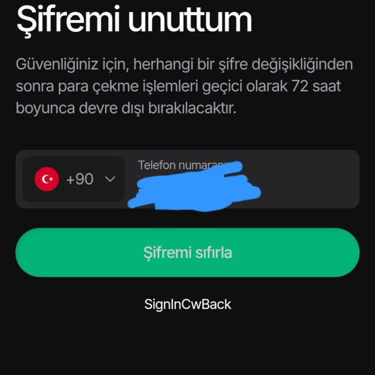 Bitay Hesabına 6 Aydır Erişim Sağlayamıyorum, Teknik Destek Alamıyorum