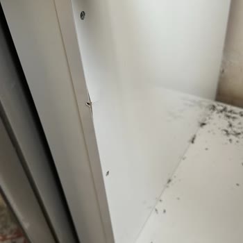 Kurulum Ücreti Sürprizi Ve Hasarlı Montaj: Mağduriyetimin Giderilmesini İstiyorum