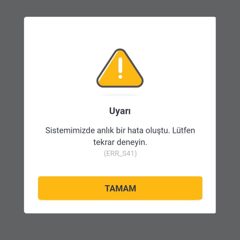 Ek Bagaj Hakkım Sisteme Tanımlanmadı Dönüş Alamıyorum
