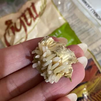 Pirinç Paketinde Küf Benzeri Parça İle Karşılaştım: Hijyen Ve Sağlık Endişesi