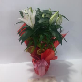 Yanlış Çiçek Teslimatı Ve İlgisiz Müşteri Hizmetleriyle Yaşanan Hayal Kırıklığı