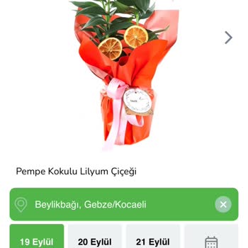 Yanlış Çiçek Teslimatı Ve İlgisiz Müşteri Hizmetleriyle Yaşanan Hayal Kırıklığı