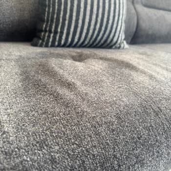 Koltuk Takımında İlk Günden Başlayan Potluk Sorunu Çözülmüyor