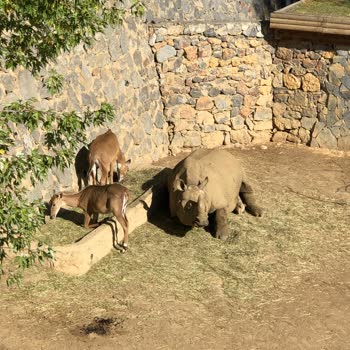 Hayvanat Bahçesinde Hayal Kırıklığı: Yüksek Ücret, Boş Alanlar!